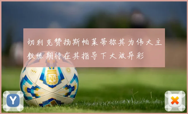 切利克赞扬斯帕莱蒂称其为伟大主教练期待在其指导下大放异彩