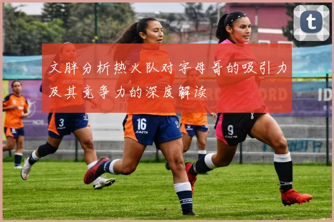 文胖分析热火队对字母哥的吸引力及其竞争力的深度解读